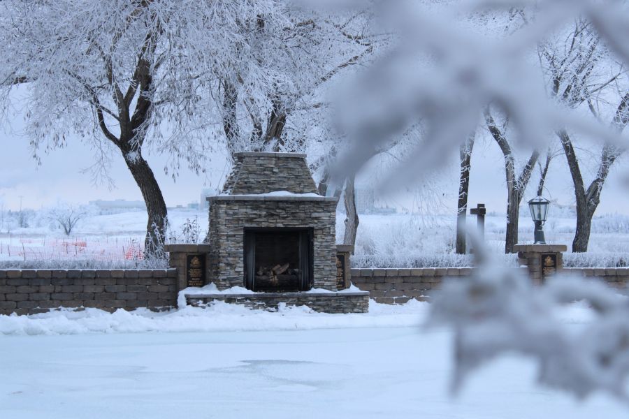 winter_(3)