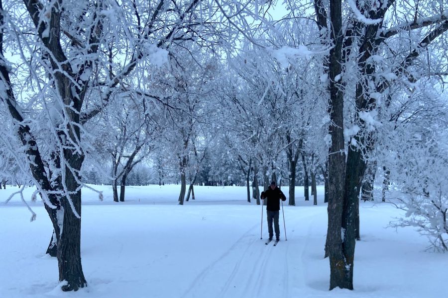 winter_(4)